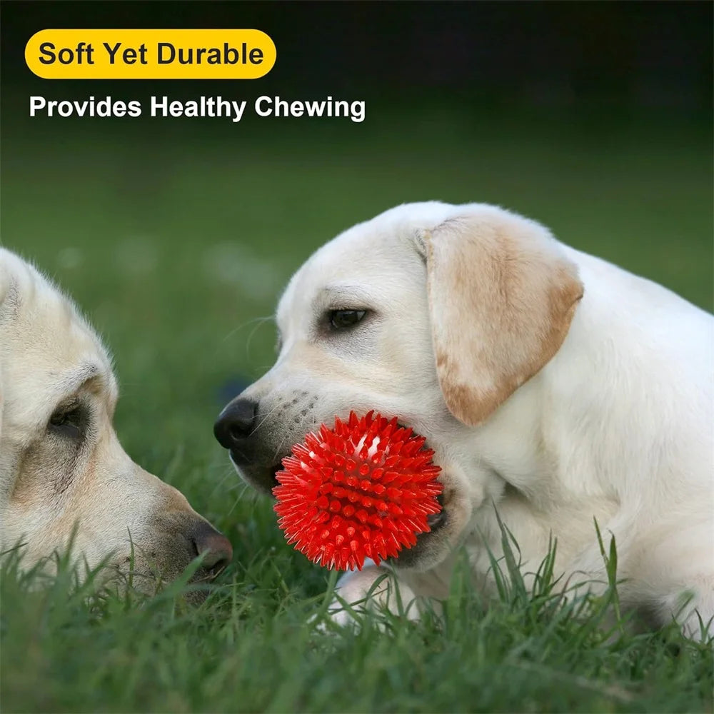 6 pack non-toxic spikey dog toy balls for aggressive chewers and teething puppies