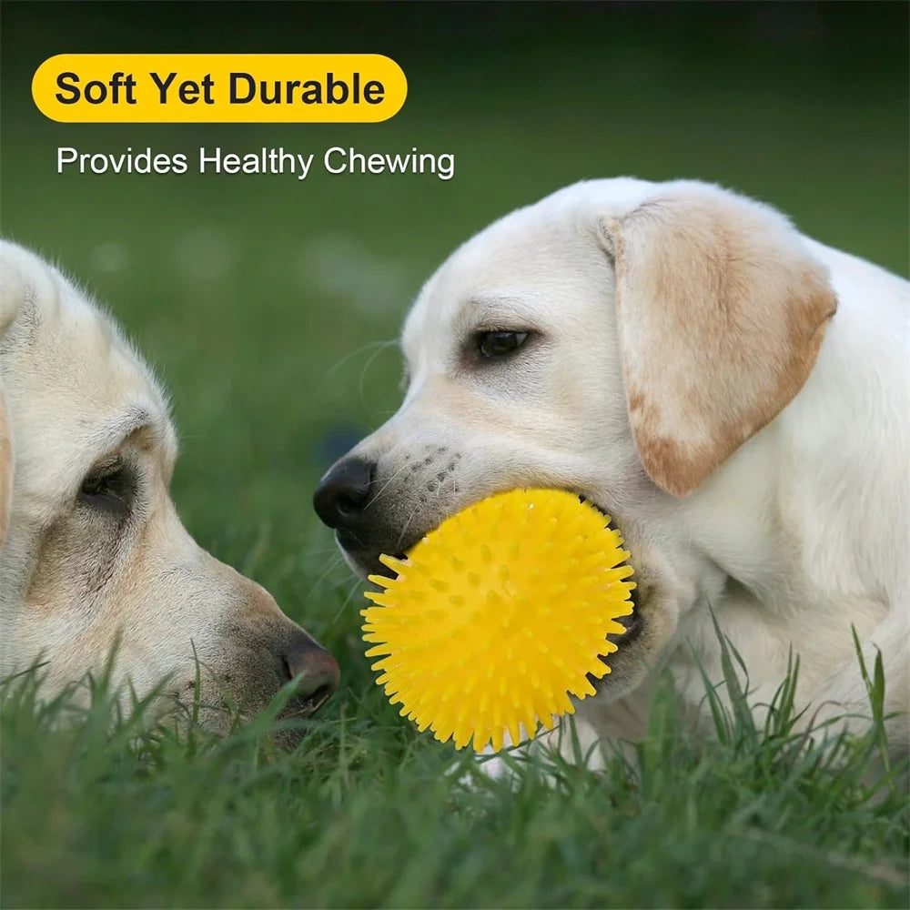 6 pack non-toxic spikey dog toy balls for aggressive chewers and teething puppies